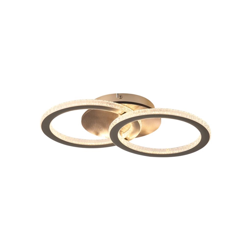 Searchlight - LED dimeriuojamas lubinis šviestuvas SPECS LED/24W/230V 3000K 25x42,5 cm