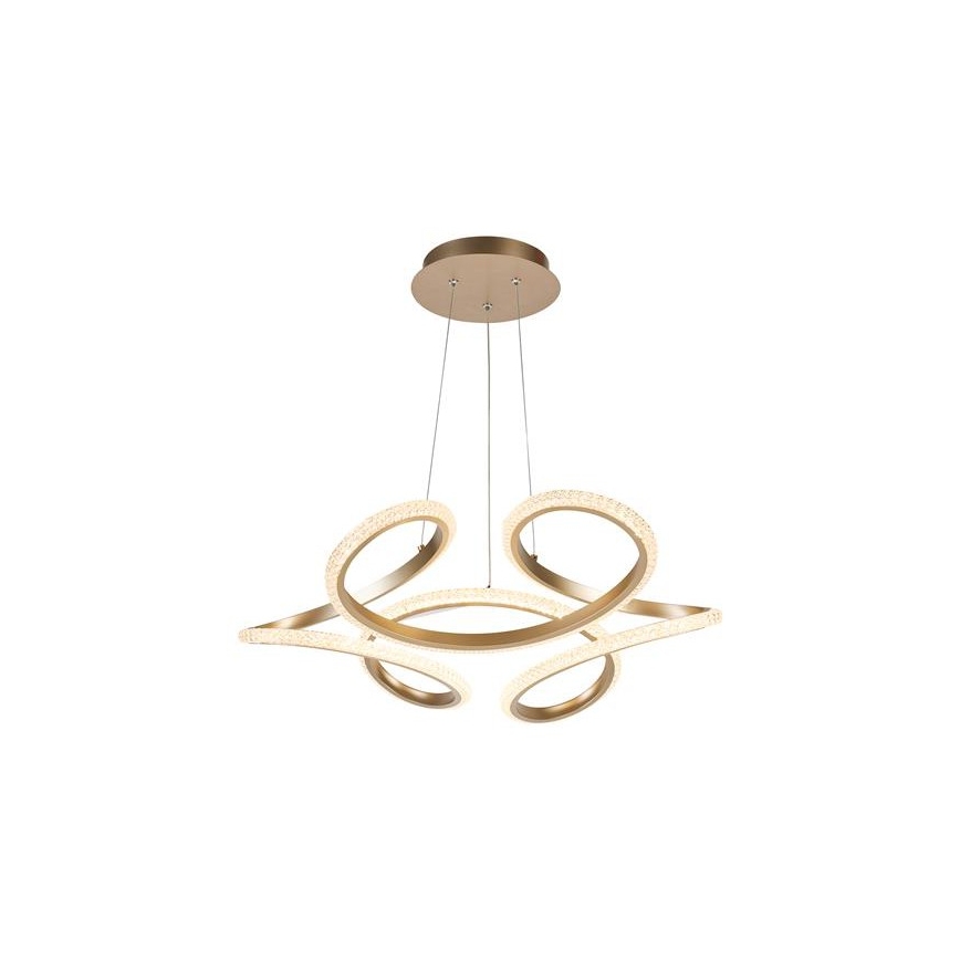 Searchlight - LED su reguliuojamu ryškumu pakabinamas šviestuvas ant laido DOODLE LED/40W/230V, žalvarinis