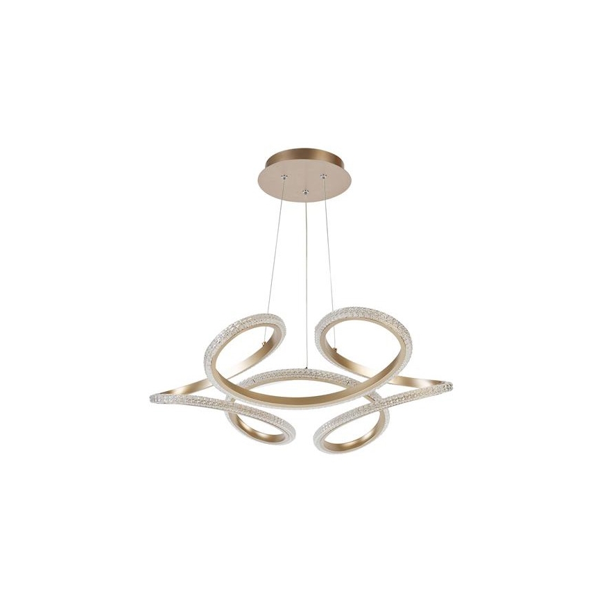 Searchlight - LED su reguliuojamu ryškumu pakabinamas šviestuvas ant laido DOODLE LED/40W/230V, žalvarinis