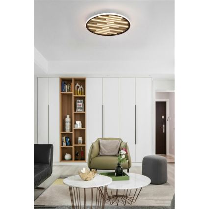 Searchlight - LED Dimeriuojamas lubų šviestuvas EQUALISE LED/33W/230V