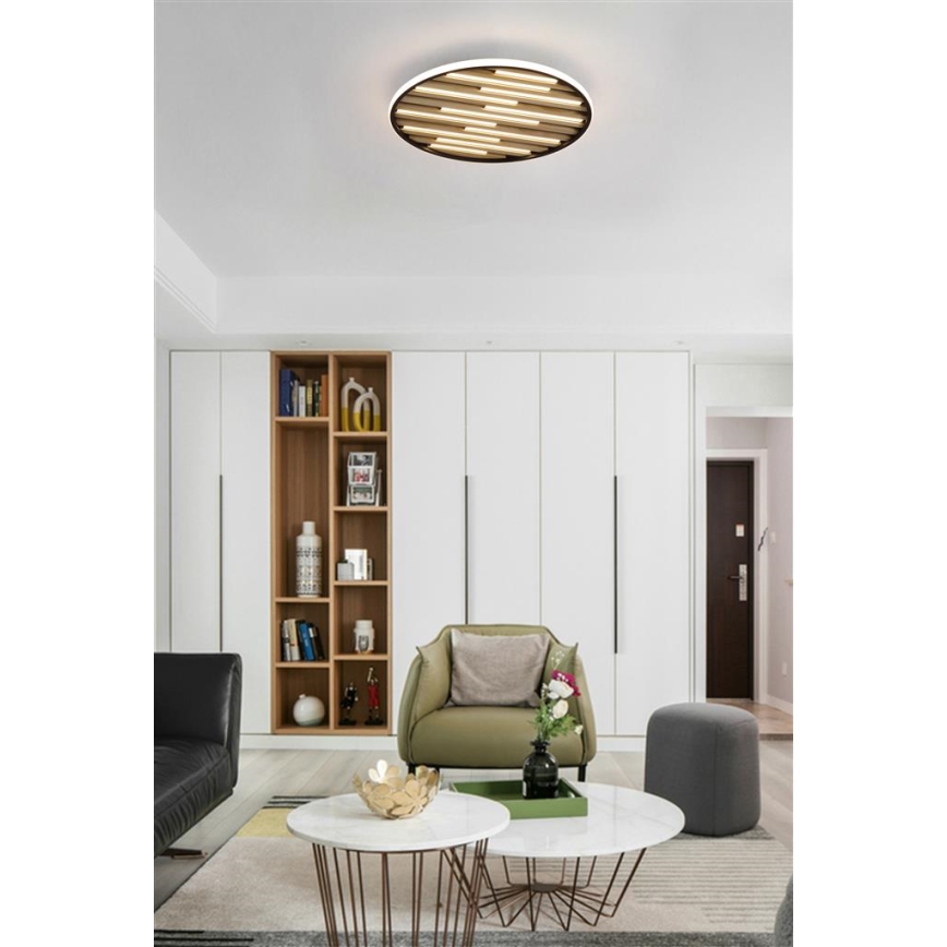 Searchlight - LED Dimeriuojamas lubų šviestuvas EQUALISE LED/33W/230V