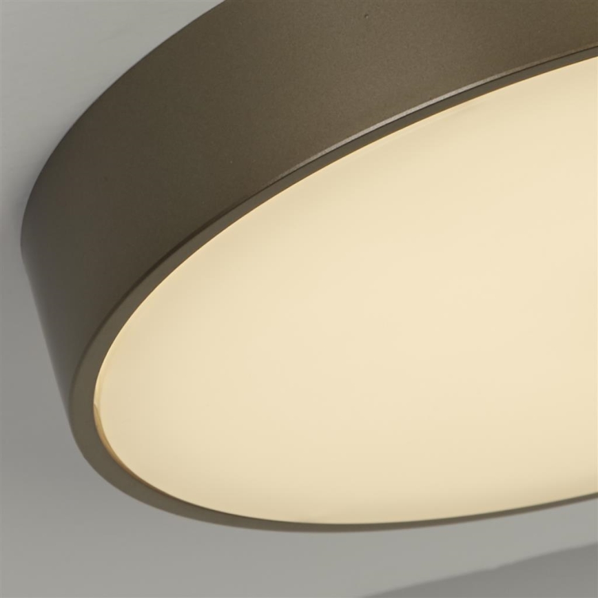 Searchlight - LED lubų šviestuvas PALMA LED/12W/230V 3000K skersmuo 25 cm bronzinis