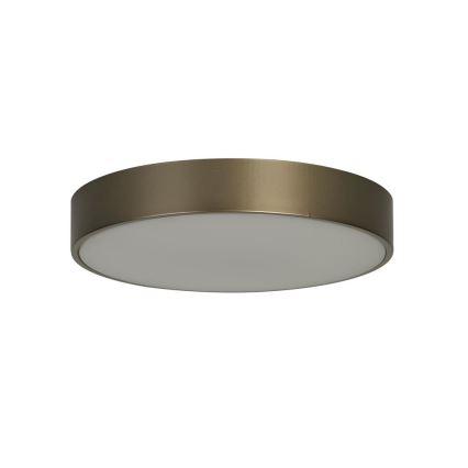 Searchlight - LED lubų šviestuvas PALMA LED/12W/230V 3000K skersmuo 25 cm bronzinis