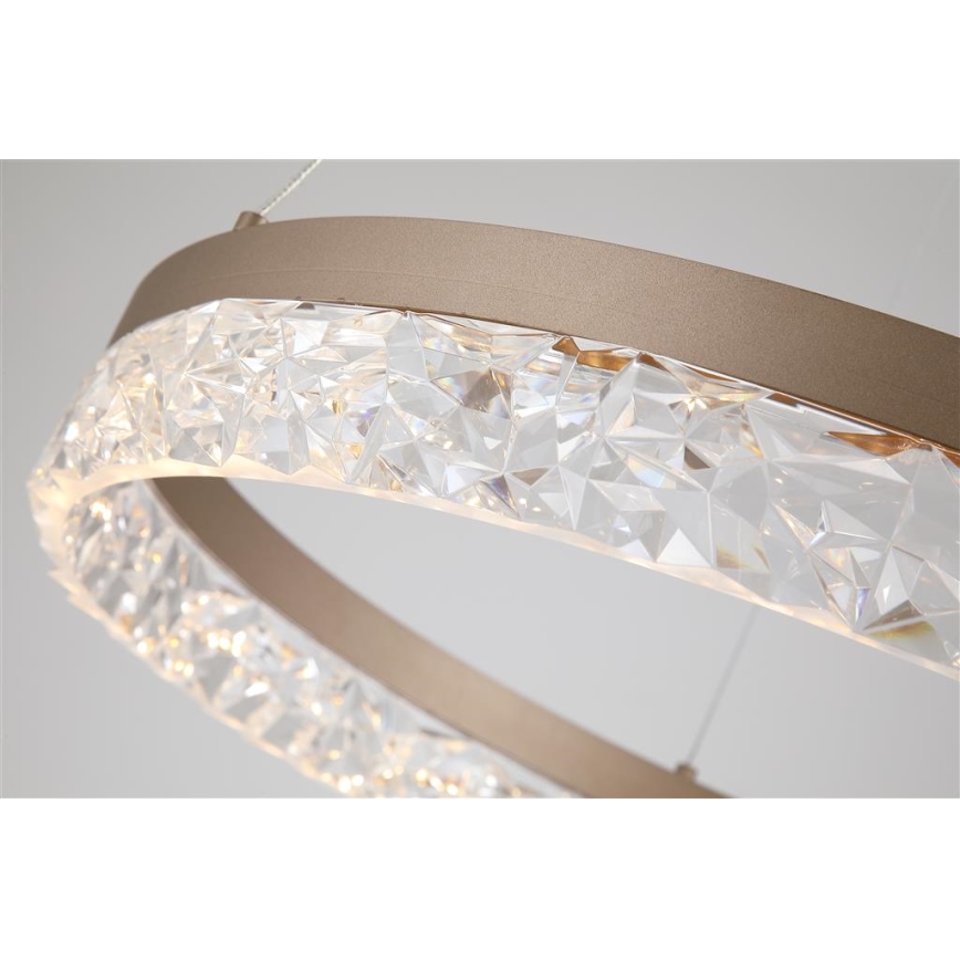 Searchlight - reguliuojama LED liustra ant laido MADELEJNE LED/25W/230V