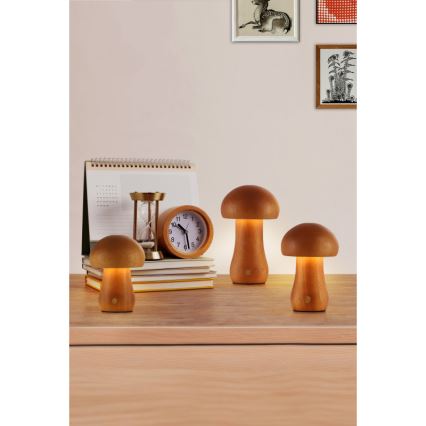 Searchlight - KOMPLEKTAS 3 vnt. LED stalinė lempa MUSHROOM LED/1,1W/5V 800 mAh