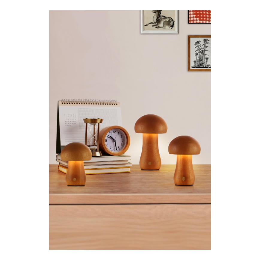 Searchlight - KOMPLEKTAS 3 vnt. LED stalinė lempa MUSHROOM LED/1,1W/5V 800 mAh