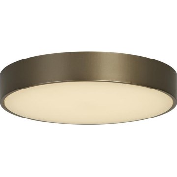 Searchlight - LED lubų šviestuvas PALMA LED/12W/230V 3000K skersmuo 25 cm bronzinis