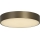 Searchlight - LED lubų šviestuvas PALMA LED/12W/230V 3000K skersmuo 25 cm bronzinis