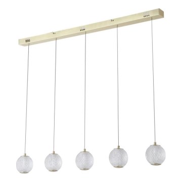 Searchlight - LED pakabinama liustra ant laido ALLURE 5xLED/4,2W/230V