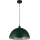 Searchlight - pakabinamas šviestuvas ant laido MARS 1xE27/60W/230V Ø 25 cm žalias