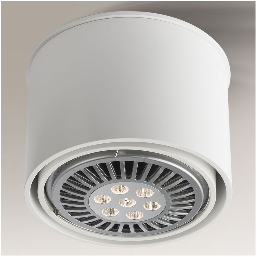 Shilo - Akcentinis šviestuvas 1xGU10/15W/230V baltas
