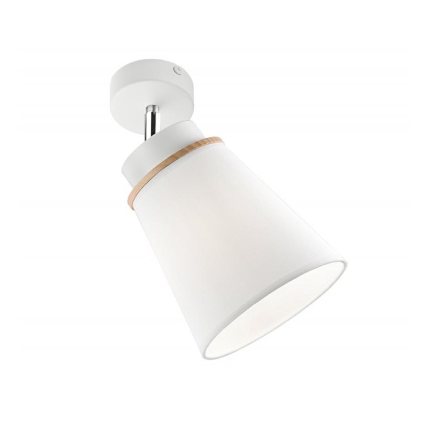 Sieninis akcentinis šviestuvas AGUSTINO 1xE27/60W/230V