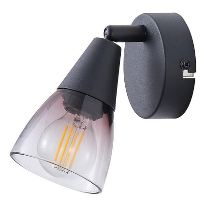 Sieninis akcentinis šviestuvas CLASSY 1xE14/7W/230V dūminis