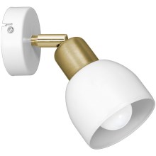 Sieninis akcentinis šviestuvas FRESNO 1xE27/60W/230V baltas/auksinis