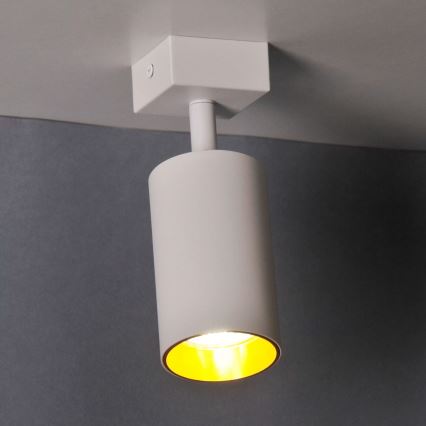Sieninis akcentinis šviestuvas MARIBEL 1xGU10/10W/230V balta