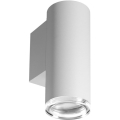Sieninis akcentinis vonios šviestuvas TURYN 1xGU10/10W/230V IP44 balta
