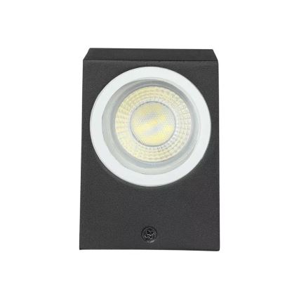 Sieninis lauko šviestuvas 2xGU10/20W/230V IP44