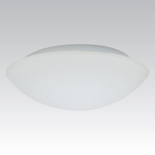 Sieninis lauko šviestuvas KAROLINA 2xE27/60W opalinio stiklo