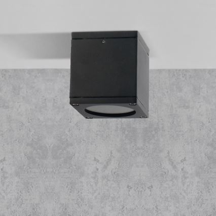 Sieninis lauko šviestuvas MORRIS 1xGU10/35W/230V IP54