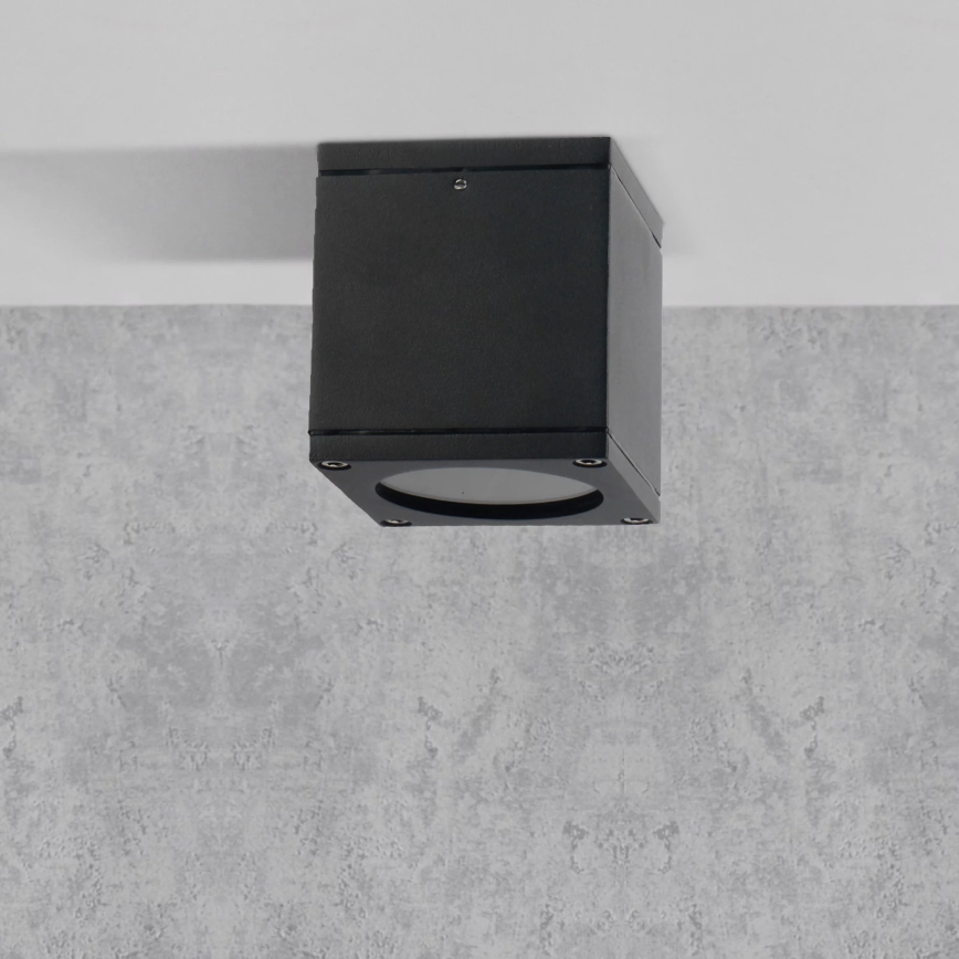 Sieninis lauko šviestuvas MORRIS 1xGU10/35W/230V IP54