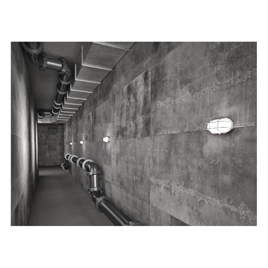 Sieninis lauko šviestuvas OVAL 1xE27/60W/230V baltas IP44