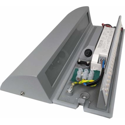 Sieninis LED lauko šviestuvas LED/10W/230V IP54