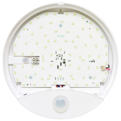 Sieninis LED lauko šviestuvas su jutikliu LORA LED/15W/230V IP44