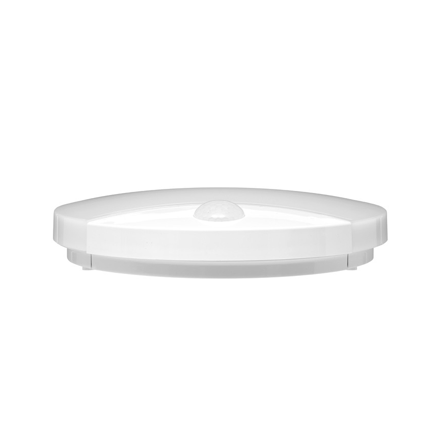 Sieninis LED lauko šviestuvas su jutikliu LORA LED/15W/230V IP44