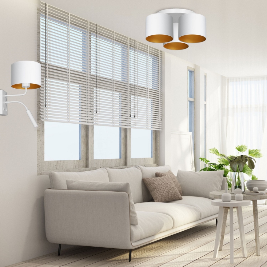 Sieninis šviestuvas ARDEN 1xE27/60W+1xG9/8W/230V balta/auksas