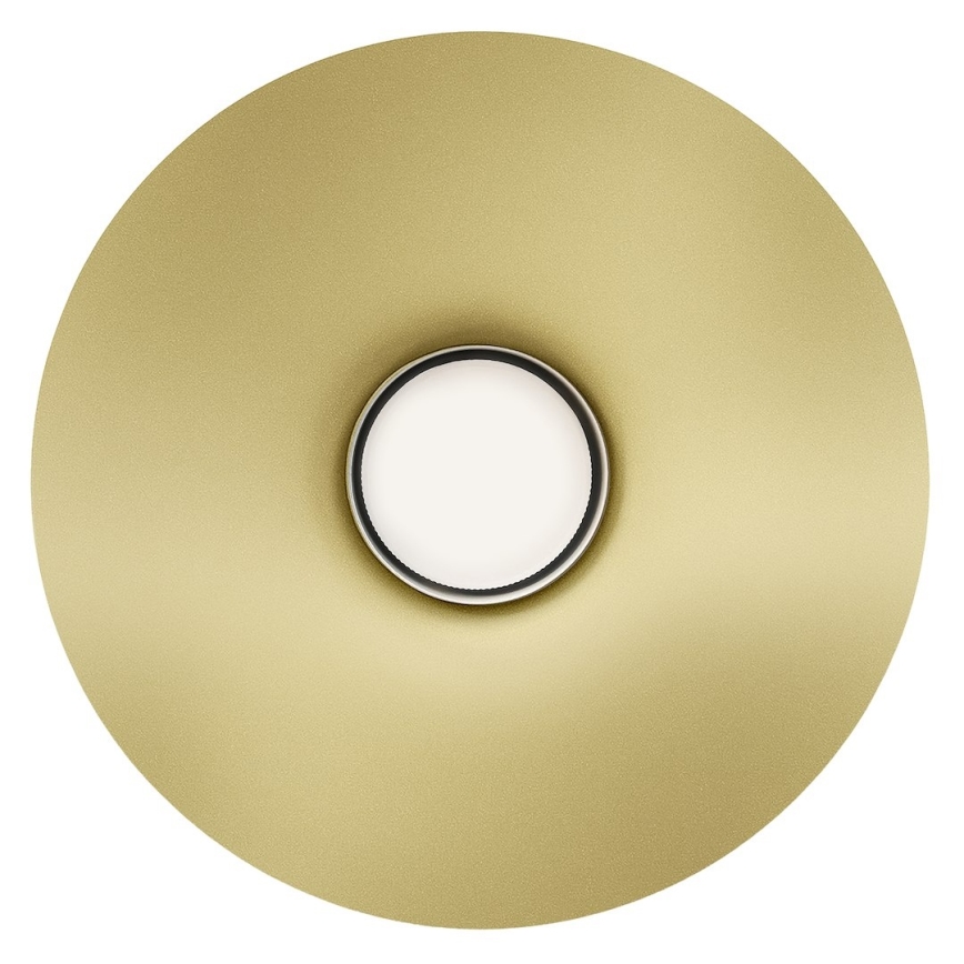 Sieninis šviestuvas CAPITAL 1xGX53/15W/230V auksinis