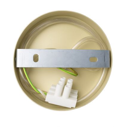 Sieninis šviestuvas CAPITAL 1xGX53/15W/230V auksinis