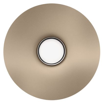 Sieninis šviestuvas CAPITAL 1xGX53/15W/230V pilkai rudas