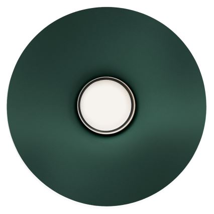 Sieninis šviestuvas CAPITAL 1xGX53/15W/230V žalias