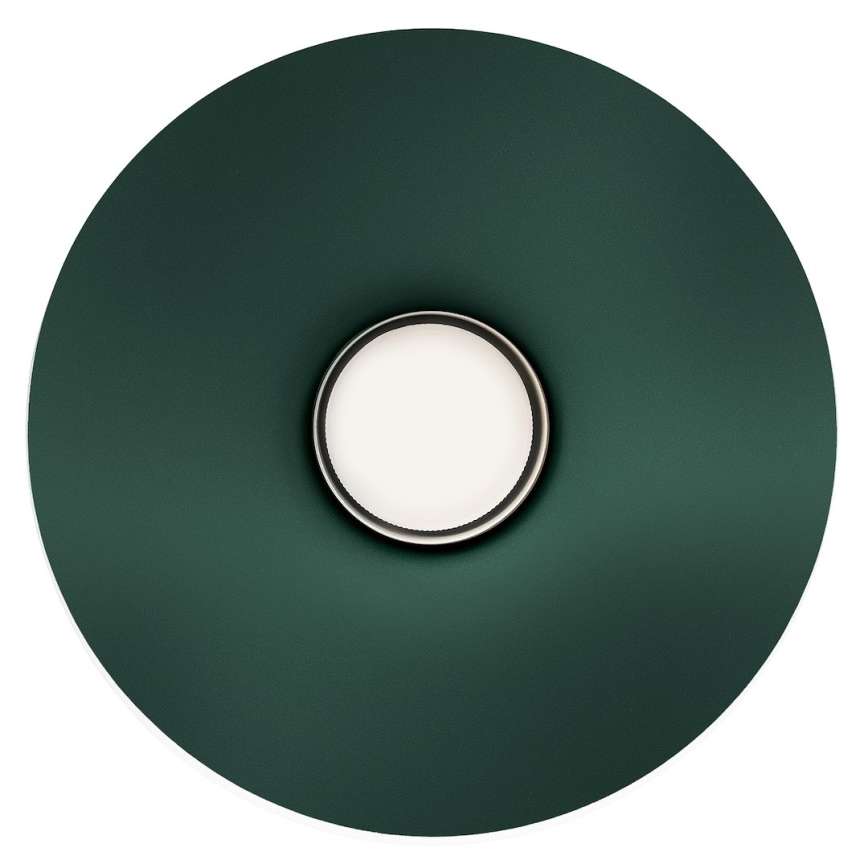 Sieninis šviestuvas CAPITAL 1xGX53/15W/230V žalias