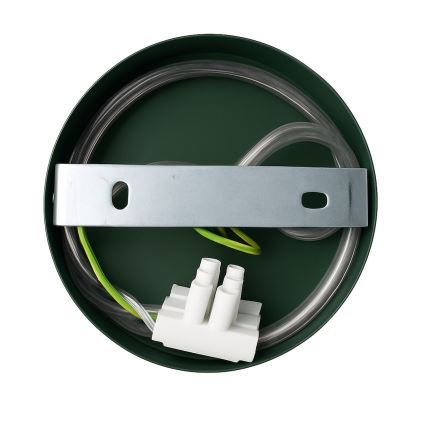 Sieninis šviestuvas CAPITAL 1xGX53/15W/230V žalias