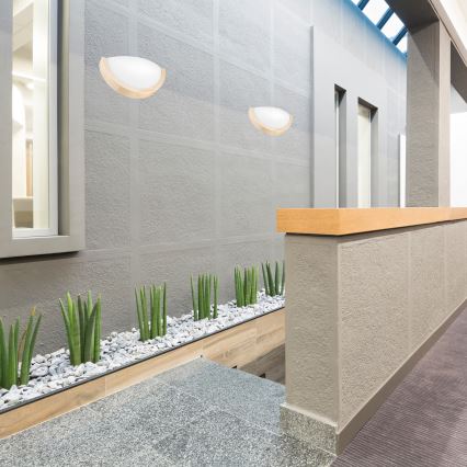 Sieninis šviestuvas NATURAL SLIM 1xE27/60W/230V pušis