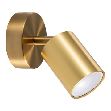 Sieninis taškinis šviestuvas GOLDIE 1xGU10/10W/230V auksinis
