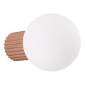 Sieninis vonios šviestuvas HALO 1xG9/8W/230V diametras 12 cm IP44 ruda