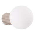 Sieninis vonios šviestuvas HALO 1xG9/8W/230V diametras 12 cm IP44 smėlio spalva