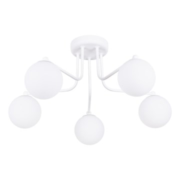 Sietynas ant stulpo ASTRAL 5xG9/8W/230V balta