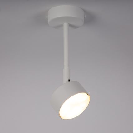 Sietynas ant stulpo NEMO 1xGX53/12W/230V 24 cm balta