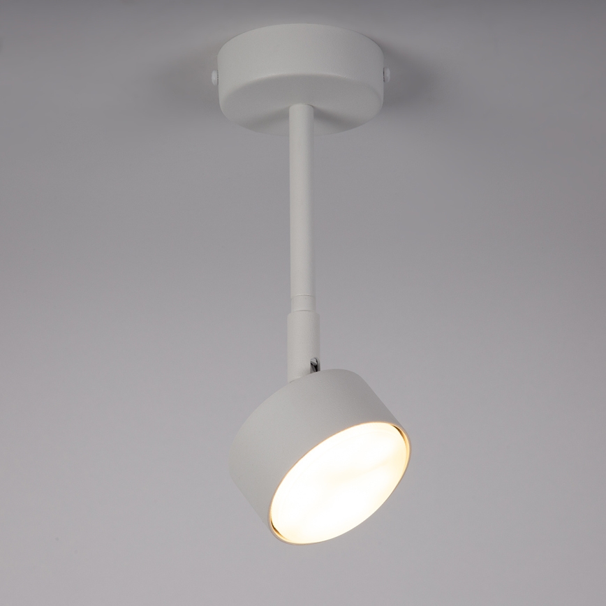 Sietynas ant stulpo NEMO 1xGX53/12W/230V 24 cm balta
