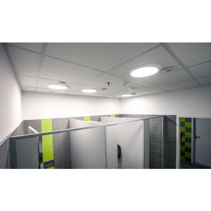 Sinclair - LED įmontuojamas šviestuvas LED/24W/230V 3000K/4000K/6000K baltas