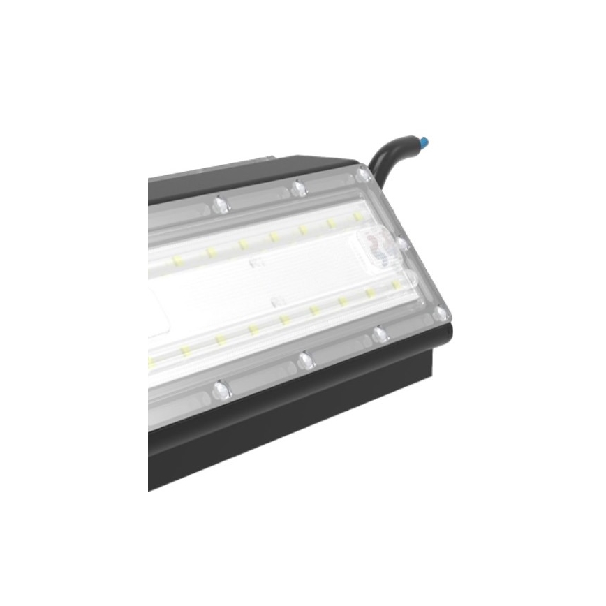 Sinclair – LED Prožektorius vyno rūsiams FL LED/30W/230V 2700K IK10 IP66
