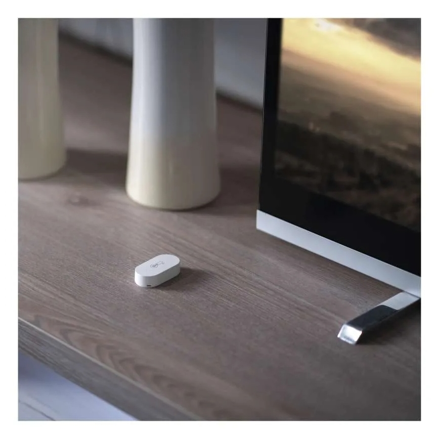 Skaitmeninis bevielis termometras GoSmart 1×CR2032
