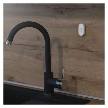 Skaitmeninis bevielis termometras GoSmart 1×CR2032