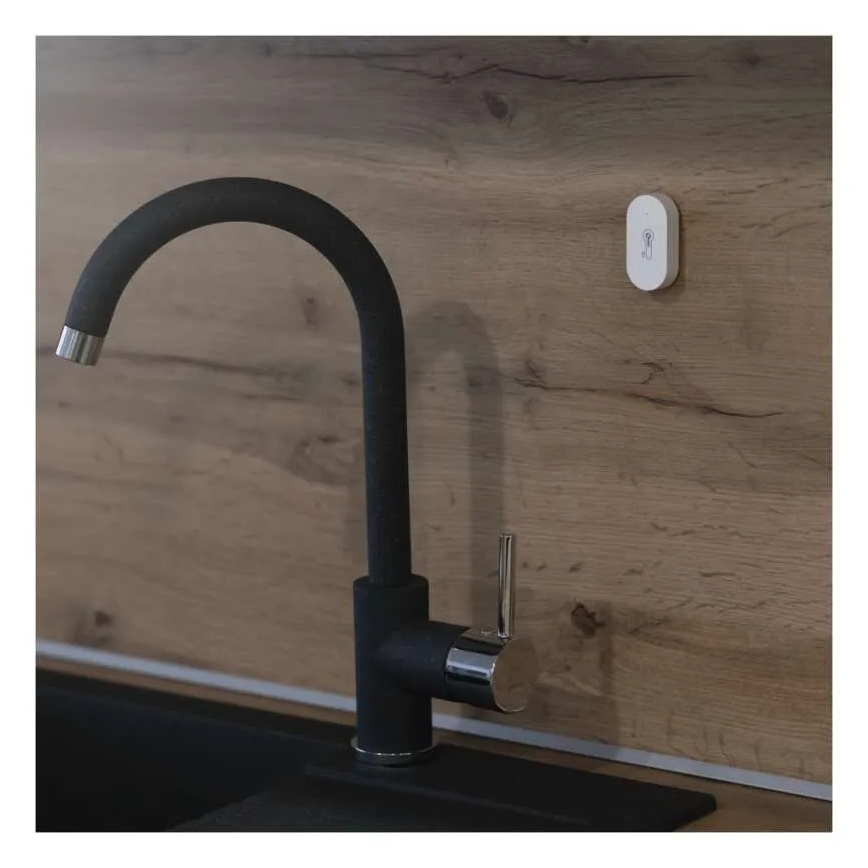 Skaitmeninis bevielis termometras GoSmart 1×CR2032