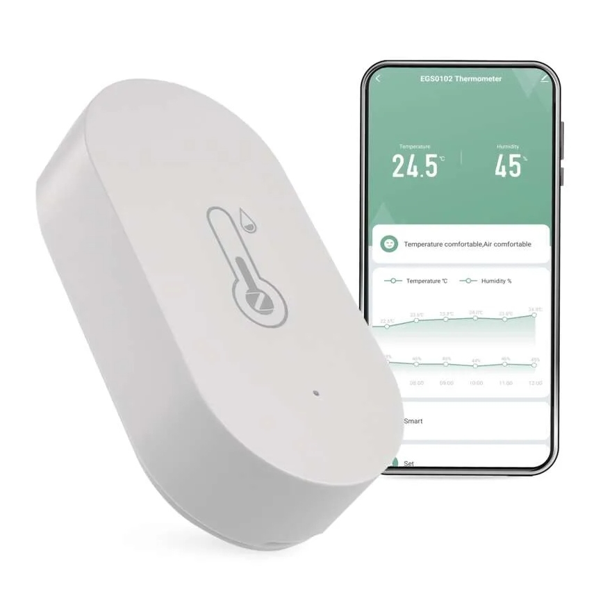 Skaitmeninis bevielis termometras GoSmart 1×CR2032