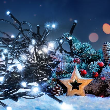 LED lauko girlianda, 50 x LED / 8 režimų, 8 m, IP44, šaltai balta