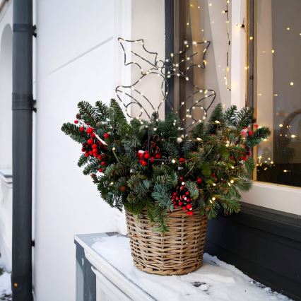 LED lauko kalėdinė dekoracija 100xLED/3xAA IP44 šiltai balta varpeliai